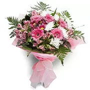 Palia Ampelia online Florist - Refreshing Flowers Bouquet