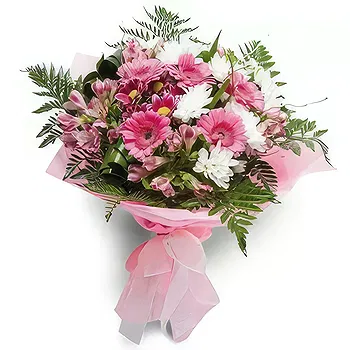 Antias flowers  -  Refreshing Flowers Delivery