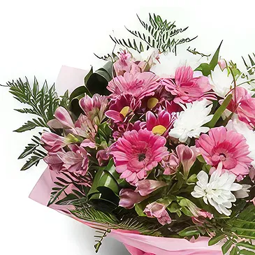 Palia Ampelia flowers  -  Refreshing Flowers Flower Bouquet/Arrangement