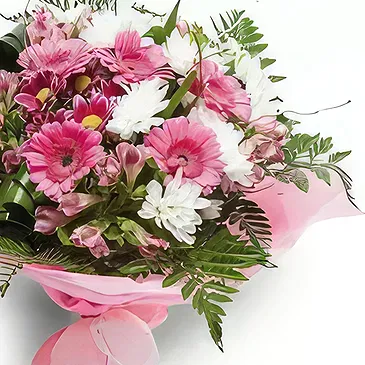 Palia Ampelia flowers  -  Refreshing Flowers Flower Bouquet/Arrangement