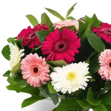 Cala Llonga flowers  -  Crimson Maple Delight Flower Bouquet/Arrangement