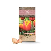 Tarut Online Blumenhändler - Hennie van der Most Blumenstrauß