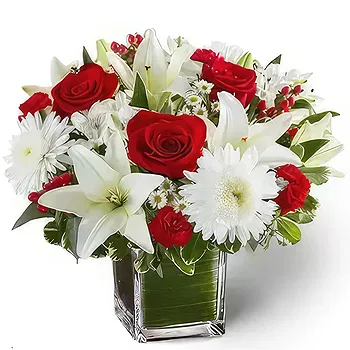United Arab Emirates flowers  -  Romance in Peace Flower Delivery