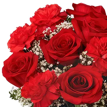 Case Lunghe flowers  -  Red Bouquet with Bottle of Champagne Flower Bouquet/Arrangement