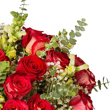 Oman flowers  -  Red Splendor Flower Bouquet/Arrangement