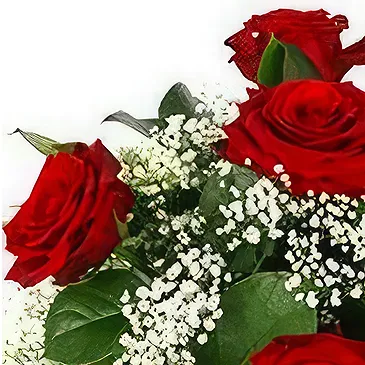 Prokuplje flowers  -  Love Roses Flower Bouquet/Arrangement