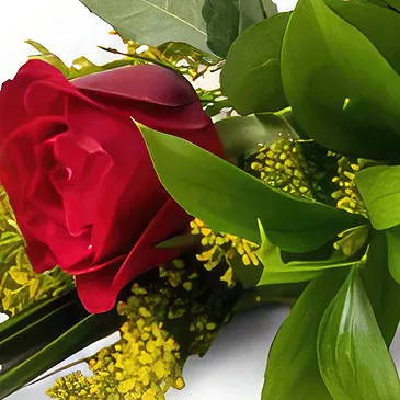 Chile flowers  -  Solitary Red Rose and Chocolate Flower Bouquet/Arrangement