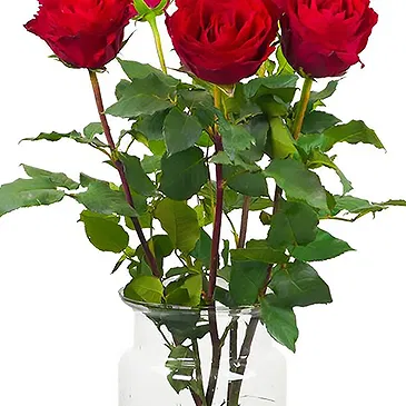 Colijnsplaat Blumen Florist- Luxusgeschenk Bouquet/Blumenschmuck