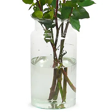 Colijnsplaat Blumen Florist- Luxusgeschenk Bouquet/Blumenschmuck