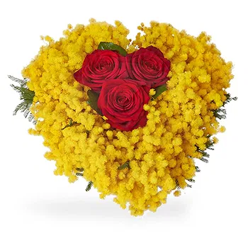 San Marino flowers  -  Bouquet of Three Red Roses with Mimosa Flower Delivery