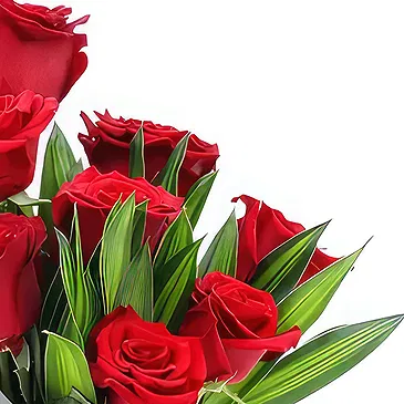 Ajman flowers  -  Rose Handbag Flower Bouquet/Arrangement