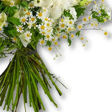 United Arab Emirates flowers  -  Rose and Hydrangea Garden Bouquet Flower Bouquet/Arrangement