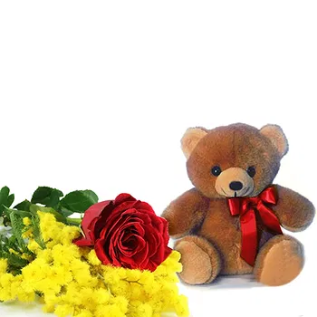 San Marino flowers  -  Red rose and mimosa Flower Delivery