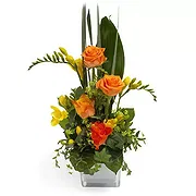 Macuilacatl Chico online Florist - Tropical regards Bouquet