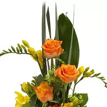San Jose Santiago flowers  -  Tropical regards Flower Bouquet/Arrangement