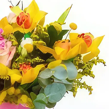 Budapest flowers  -  COLORFUL PEARL - FLOWER BOX Flower Bouquet/Arrangement