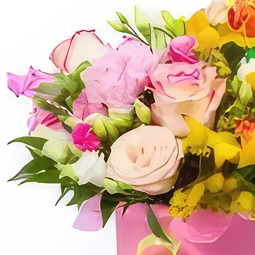 Budapest flowers  -  COLORFUL PEARL - FLOWER BOX Flower Bouquet/Arrangement