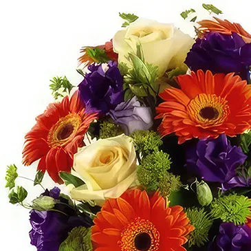 Macuilacatl Chico flowers  -  Thinking of you Flower Bouquet/Arrangement