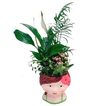 Cala Llonga flowers  -   Splendor Love Flower Bouquet/Arrangement