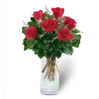 Madrid flowers  -  Ruby Romance Roses Flower Delivery