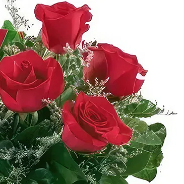 Cala Llonga flowers  -  Ruby Romance Roses Flower Bouquet/Arrangement