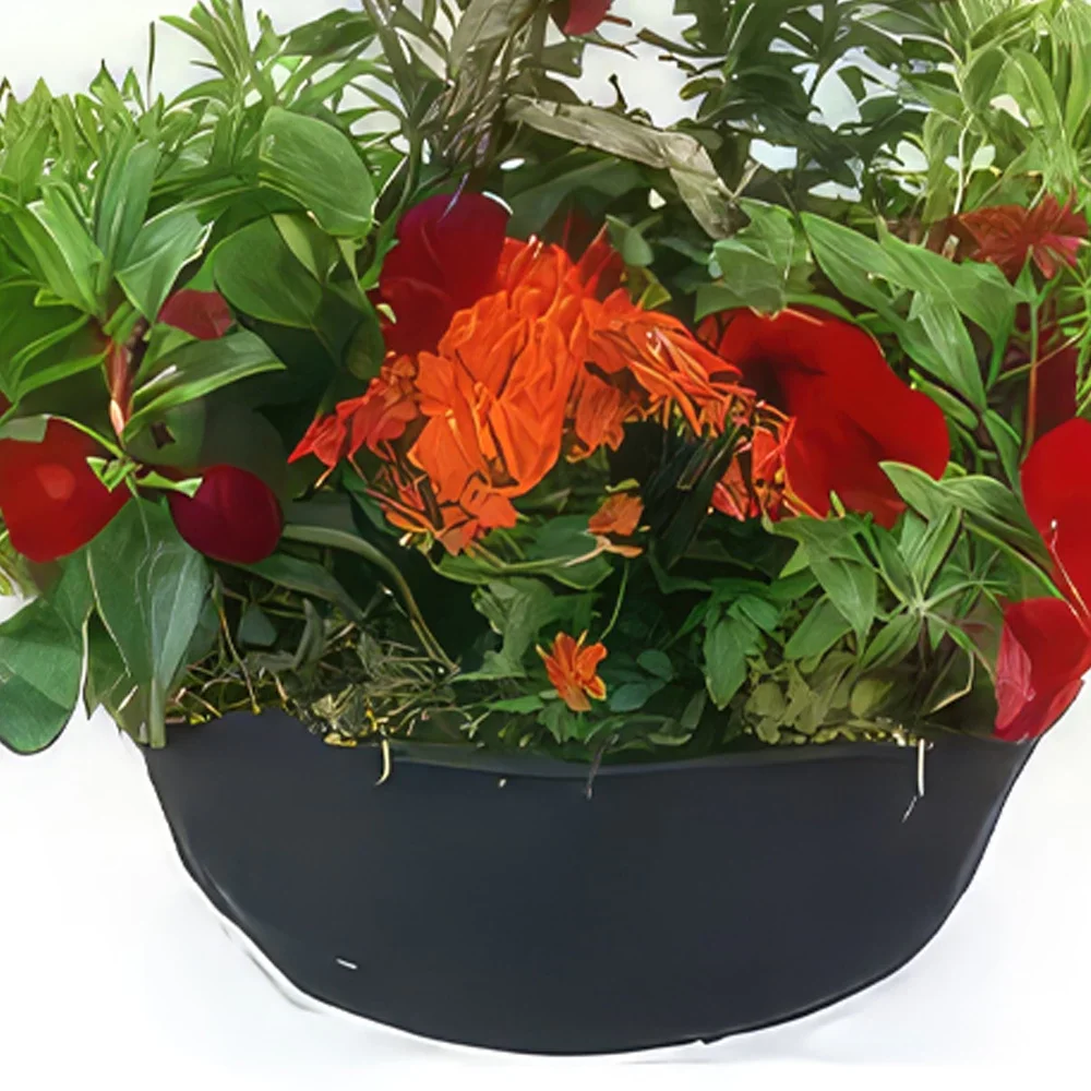 flores Marsella floristeria -  Corte de planta rojo y naranja Rufus Ramo de flores/arreglo floral