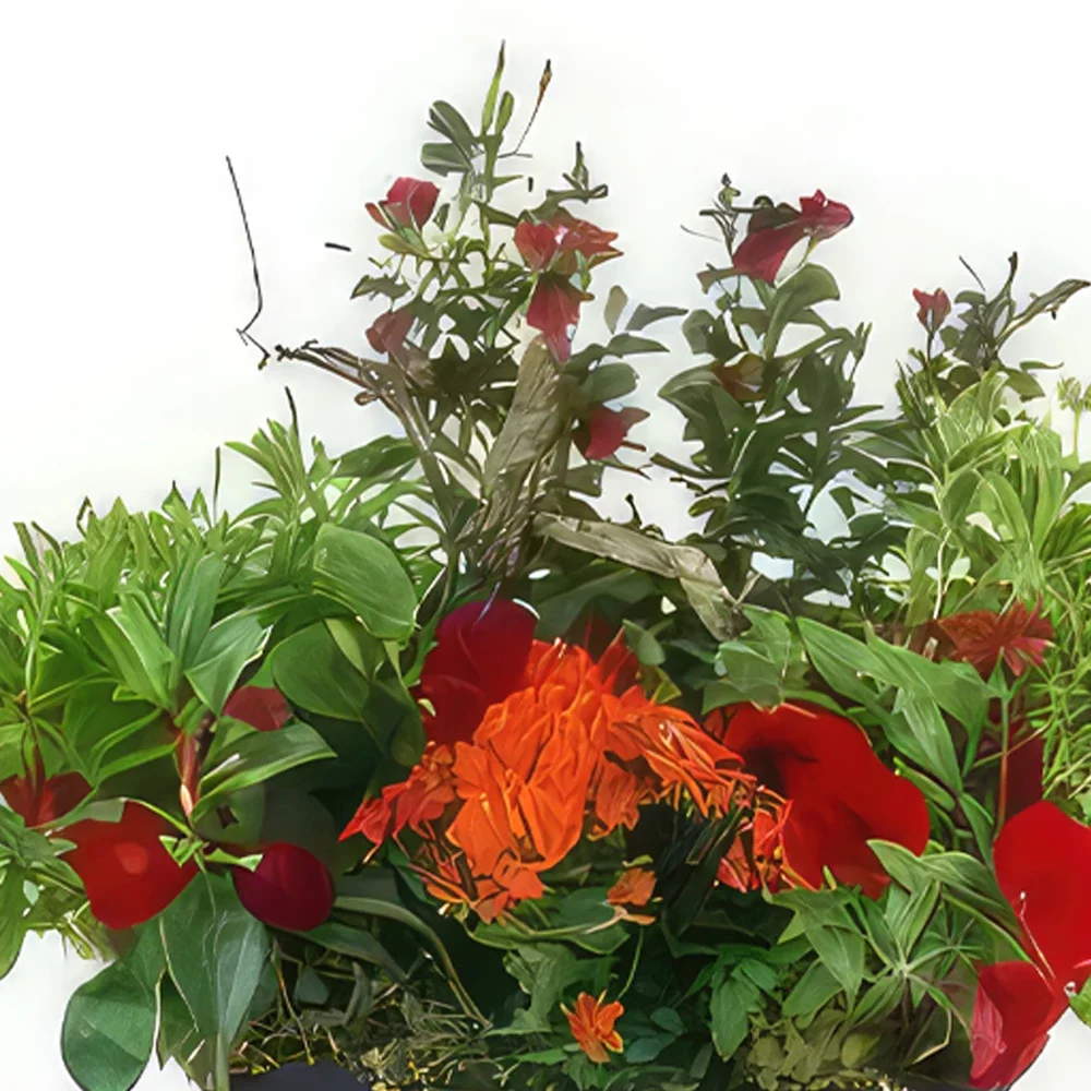 Pau-virágok- Rufus Red & Orange Plant Cut Virágkötészeti csokor