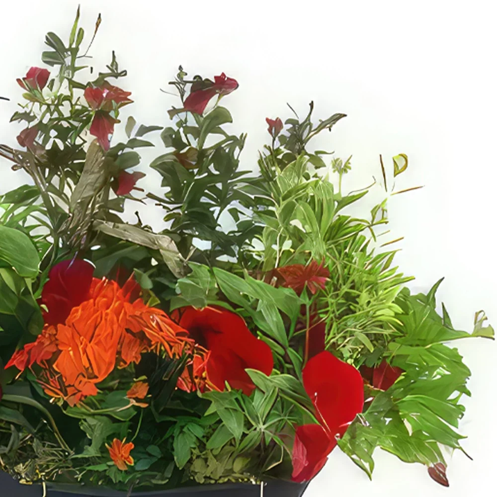 flores Montpellier floristeria -  Corte de planta rojo y naranja Rufus Ramo de flores/arreglo floral