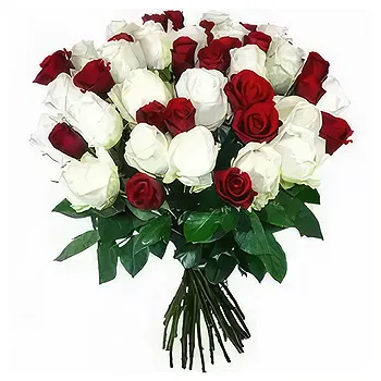 Ayer Puteh blomster- Scarlet Roses Blomst Levering