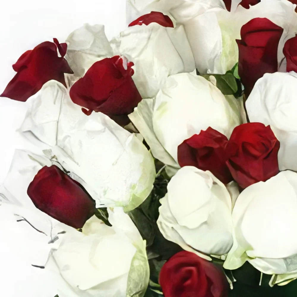 fiorista fiori di Bari- Rose scarlatte Bouquet floreale