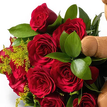 flores de Uberlândia- Buquê de 12 Rosas Vermelhas e Ursinho de Pelú Bouquet/arranjo de flor