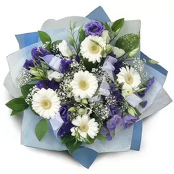 Antias flowers  -  Sky White Flower Delivery
