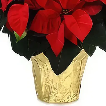 Bektasli flowers  -  Festive Delight Flower Bouquet/Arrangement