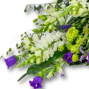 Holandia kwiaty- Bukiet pogrzebowy biało-fioletowy (70cm) Bukiet ikiebana
