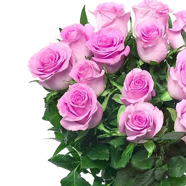Italy flowers  -  15 Pink Roses Flower Bouquet/Arrangement