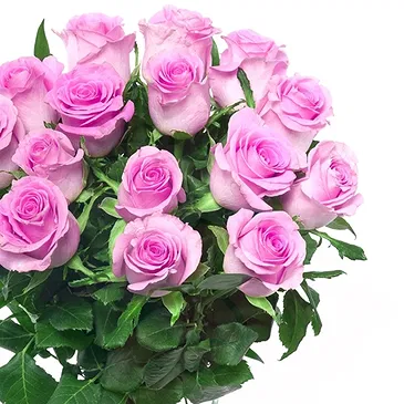 Italy flowers  -  15 Pink Roses Flower Bouquet/Arrangement