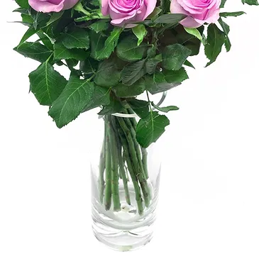 Italy flowers  -  15 Pink Roses Flower Bouquet/Arrangement