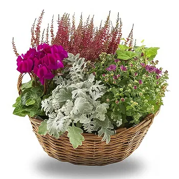 Norway flowers  -  Seasonal Purple Floral Design for Autumn Flower Delivery