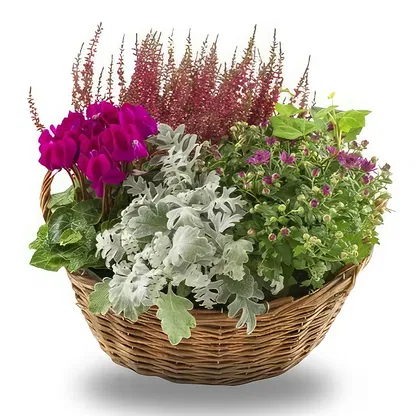 Norway flowers  -   Flower Bouquet/Arrangement