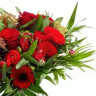 Budapest flowers  -  TIMELESS FEELINGS - BOUQUET OF FLOWERS Flower Bouquet/Arrangement