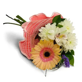 Kravino flowers  -  Soft Hugs Flower Delivery