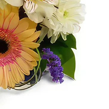 Bogdanica Blumen Florist- Sanfte Umarmungen Bouquet/Blumenschmuck