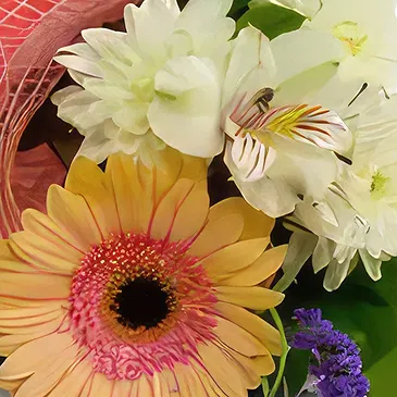 Bogdanica Blumen Florist- Sanfte Umarmungen Bouquet/Blumenschmuck