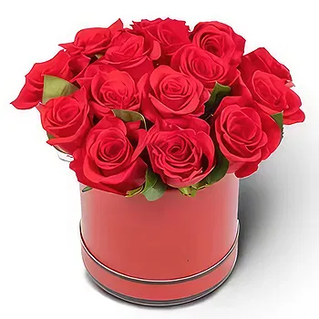 Kravino flowers  -  Charming Box Flower Delivery