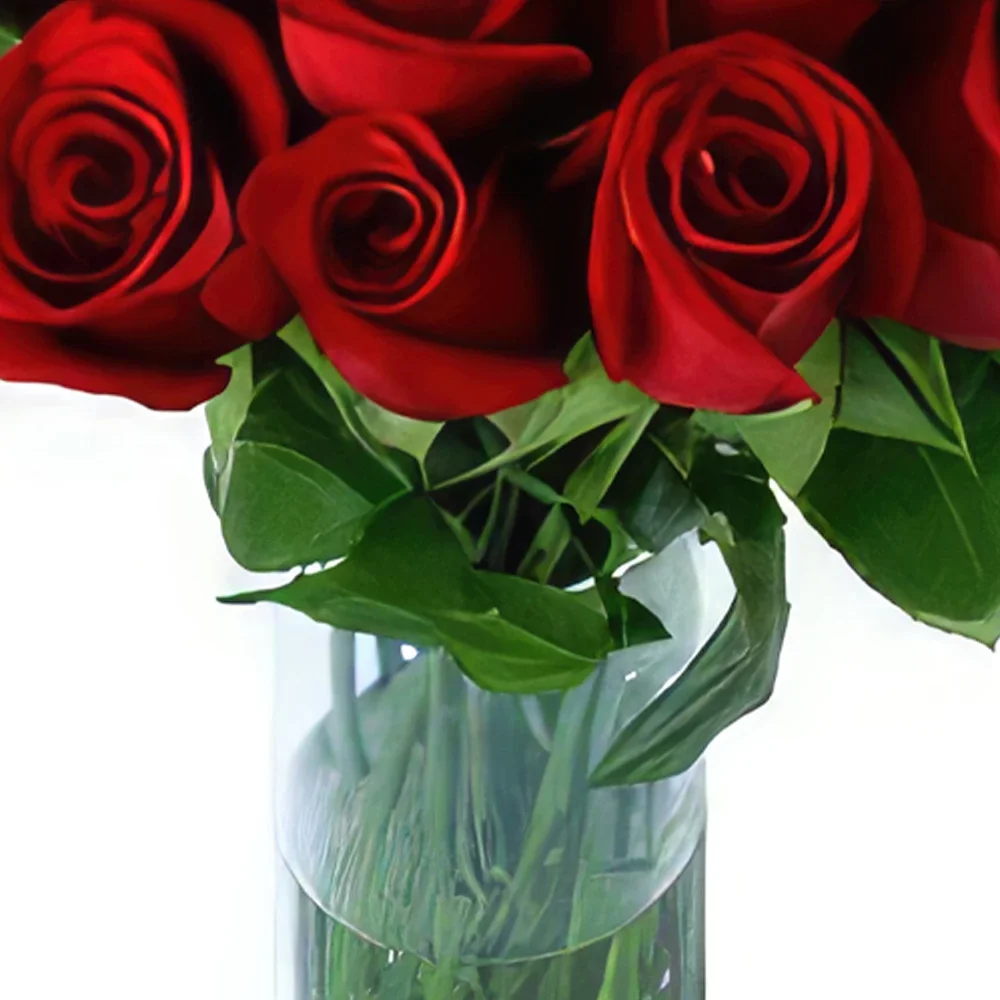 卡米洛·西恩富戈斯 花- 我美丽的淑女 花的花束安排