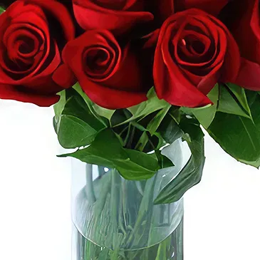 Hoting flowers  -  My Fair Lady Flower Bouquet/Arrangement