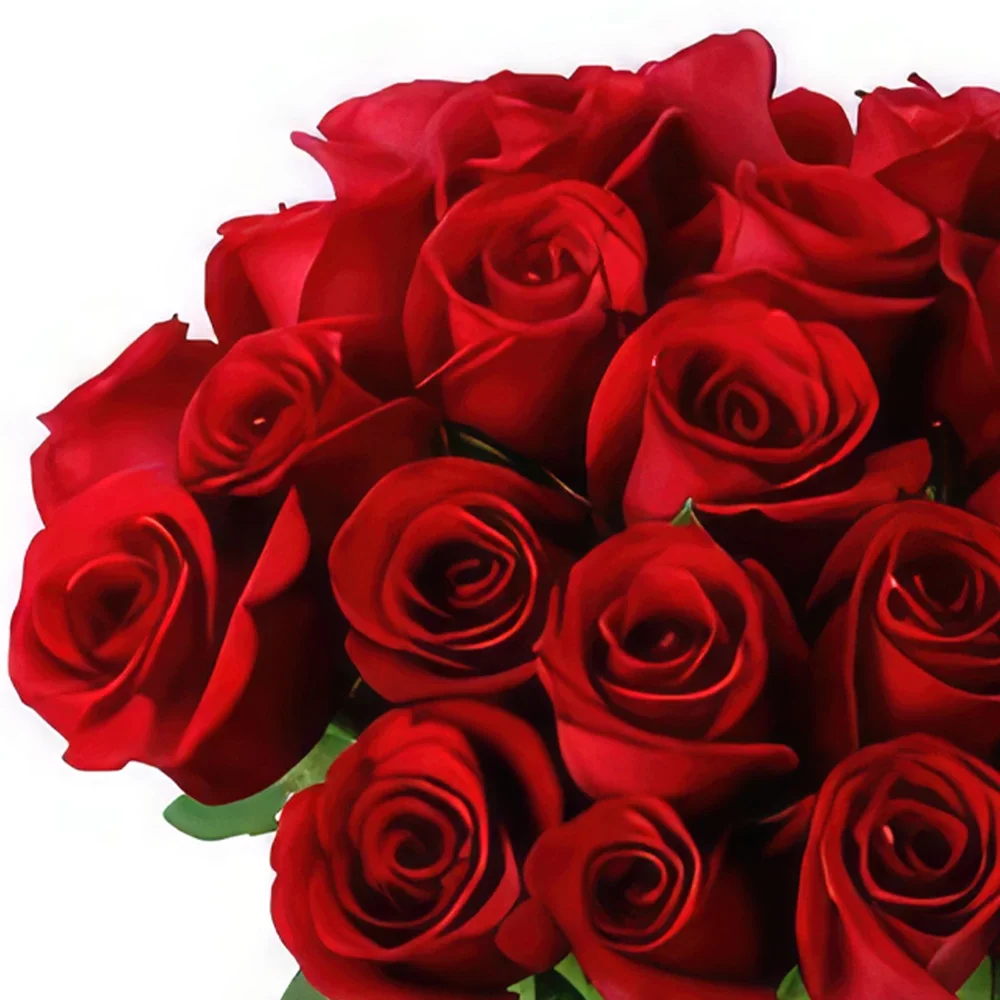 卡米洛·西恩富戈斯·多斯 花- 我美丽的淑女 花的花束安排
