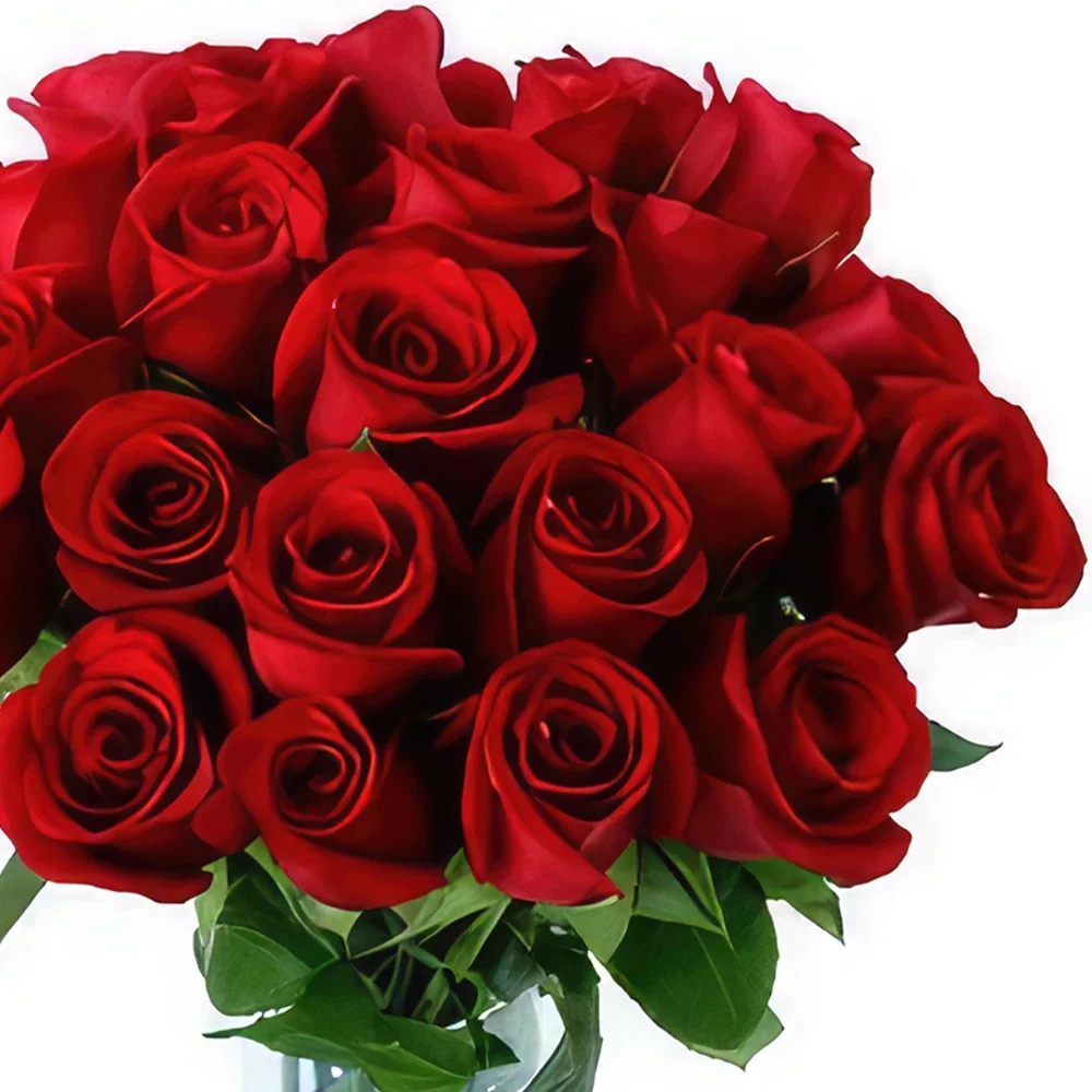 Ciro Redondo bunga- Saya Fair Lady Sejambak/gubahan bunga