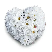 Bezeck Fleuriste en ligne - Beauté vibrante Bouquet