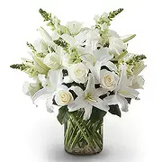 Dubai internet kaupunki Online kukkakauppias - Serenity Bunch Kimppu